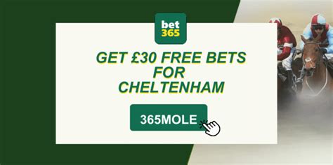 bet365 cheltenham sign up offer.